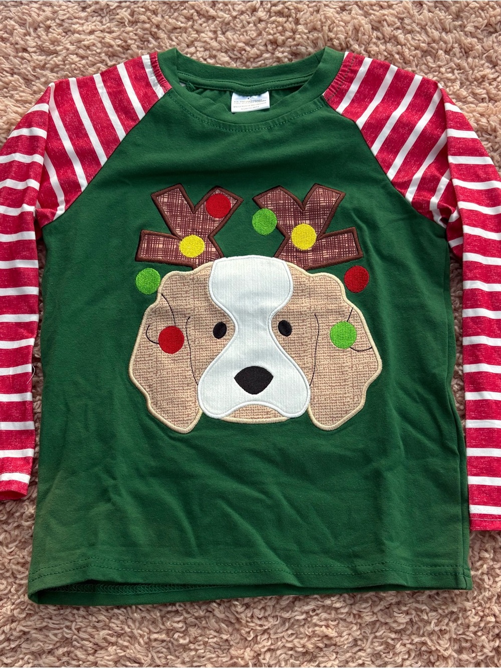 Kids Green Holiday Puppy Appliqué Long Sleeve Tee